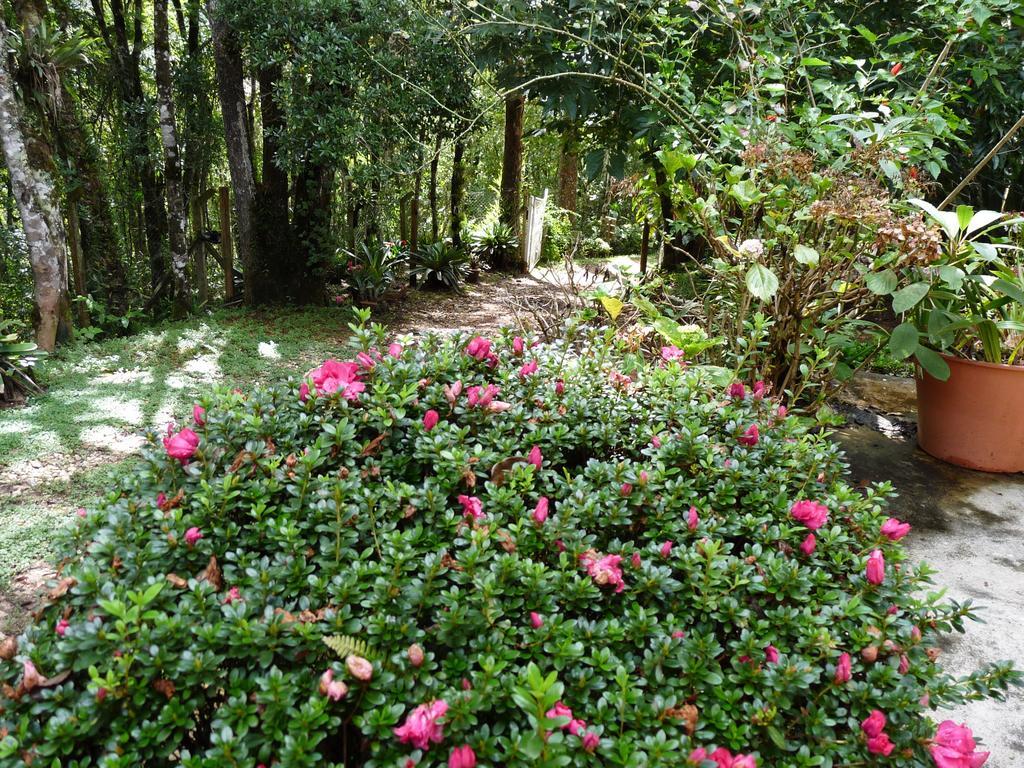 Campos do Jordão Aromas Da Serra II المظهر الخارجي الصورة